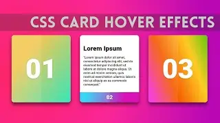 How To Make CSS Card Hover Effects On Website Using HTML And CSS | CSS Card Design With Hover Effect