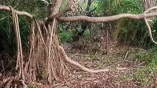 🔴 EXPLORE JANGAN KE SINI SENDIRIAN NANTI.....