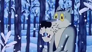 Шо опять