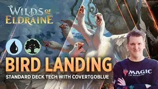 Wilds of Eldraine - Bird Landing | Simic Ramp Deck Tech with CovertGoBlue | MTG Arena