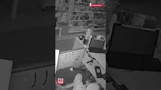 Воришки стащили игрушки из секс шопа