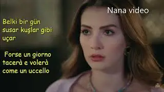 Testo e traduzione Soner Avcu   Sol Yanım Aşk Mantık İntikam