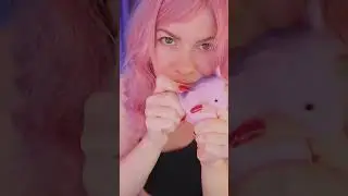rustling asmr pony 