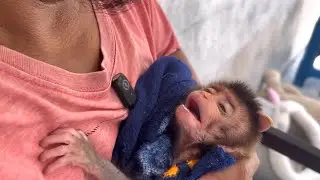 I hugged this poor baby monkey to show his trust in me