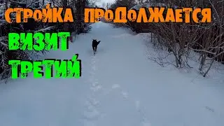 ЛУЧШЕЕ ВРЕМЯ ДЛЯ ПОСТРОЙКИ ЗАГОРОДНОГО ДОМА СТРОИМ ДОМ ЗИМОЙ ДАЧА СТРОИМ ДОМ С ТЕРЕМЪ ВИТЯЗЬ 3