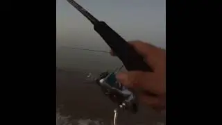 Señuelo LETAL para PESCAR en SUPERFICE 🎣🎣#spinning #fishing #pesca #huelva
