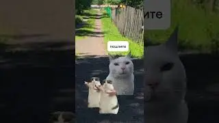 а вы умеете кататься?