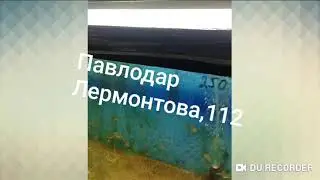 Где купить рыбок. Зоомагазин. Аквариум. Рыбки. Декор.