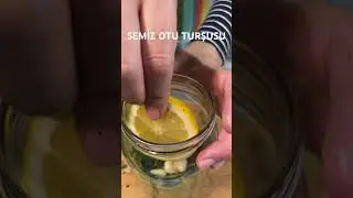 SEMİZ OTU TURŞUSU TARİFİ 😋 NASIL YAPILIR 