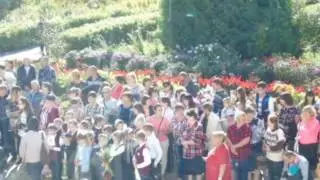цветы