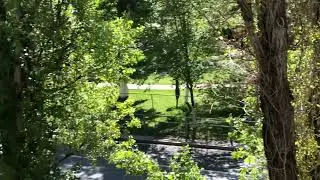 Парк Мира Самара