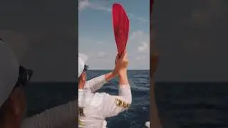 A taste of Venice fishing #yachtarmor