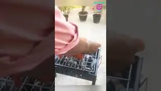 Tandoori chicken.