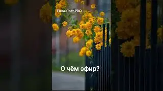 Прямой эфир 20.09.22