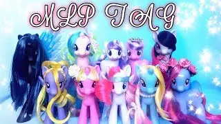 MLP TAG: Эквестрия на полочке
