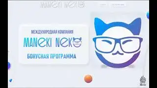 Что представляет собой новая рекламная платформа MANEKI NEKO. Продукты компании для любого бизнеса !