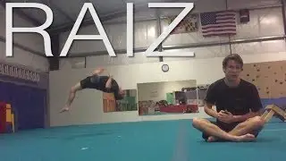 In Depth Raiz Tutorial and Walkthrough