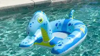 Water Dragon Rider