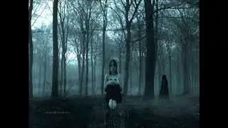 No Confíes Demasiado-Historia de Terror #1