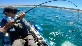 Big Fish, Medium Fish, MONSTER FISH!