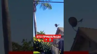 ЭТО ПРИШЕЛЬЦЫ НЛО 