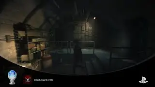 The Medium Platinum Trophy