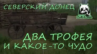 Русская рыбалка 4. Северский Донец. Фарм. Спиннинг. Ультралайт. Вэки.