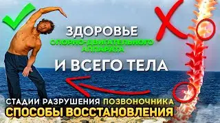 Восстановление опорно-двигательного аппарата в домашних условиях