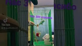 З00 спасибо большое я вас очень сильно люблю 😻 вас не заменить
