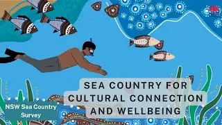 Animation 1.  Sea Country for cultural connection and wellbeing