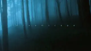 øneheart, sign crushes motorist - alive