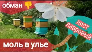 8 августа 2022 г.