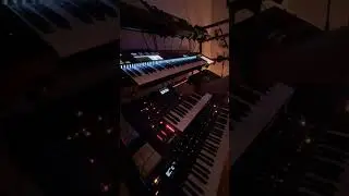 @PeacockBeats Session #3