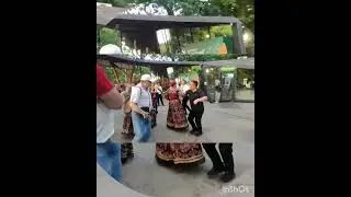 встречаем делегацию из Китая