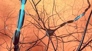 360° VR animation | 360 Neurons