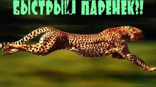 МУЛЬТИГЕЙМ | быстрый паренек?!