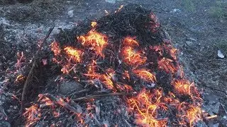 Звідки береться жар? Що таке тління?