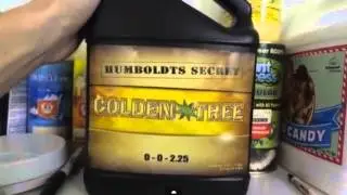 Golden Tree All-In-One Hydroponic Nutrient GrowerMD
