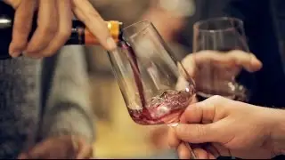 Wine-crazed (Les Toqués de Vins) - La Paulée Auvergnate