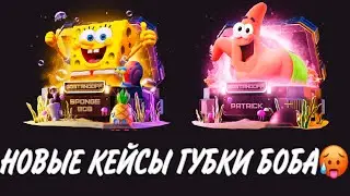 ПРОВЕРКА НА ЧЕСТНОСТЬ GGSTANDOFF / НОВЫЕ КЕЙС ГУБКИ БОБА НА САЙТЕ?!😱