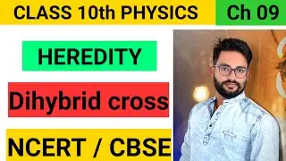 DI HYBRID CROSS BREEDING ( HEREDITY) class 10 CBSE