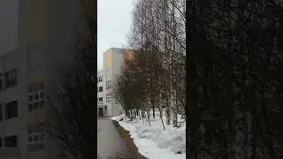 городская больница Костомукша Карелия Россия 