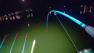СОМЫ!💥САЗАНЫ!💥РАЗВОРАЧИВАЮТ ЛОДКУ!!!  РЫБАЛКА НА СОМА И САЗАНА