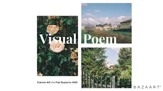 Romantic Poetry // Film Photography // Canon AE-1 x Fuji Superia 400