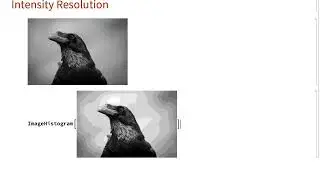 Introduction to Image Processing: Controlling Contrast