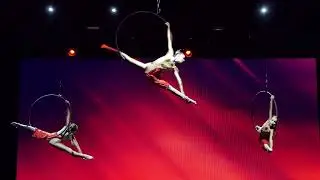 Народный эстрадно-цирковой ансамбль 