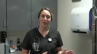 Veterinary Pain management month