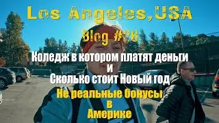 Удивительная история: Как один студент получил 1000$ и учился в Американском коледже бесплатно!