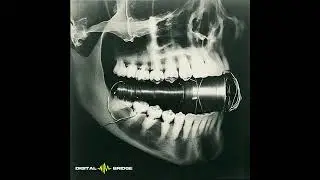 Patagonia · Digital Bridge Music