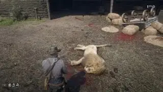 RDR2 Arthur vs Lion